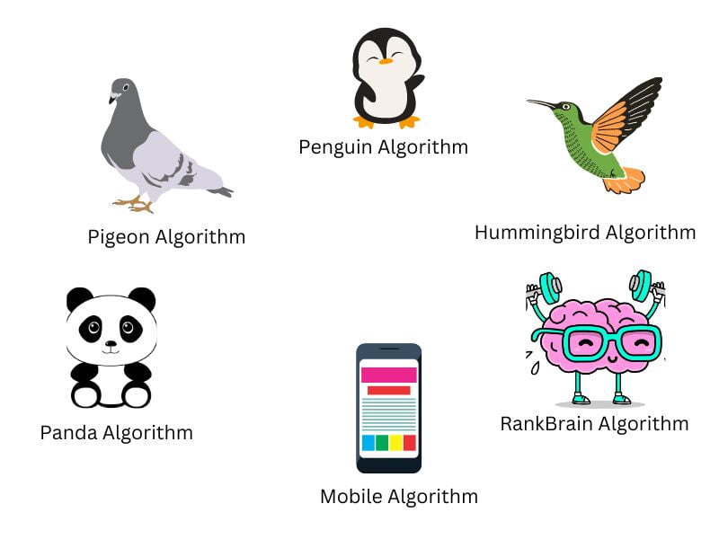 The Google Algorithm chart