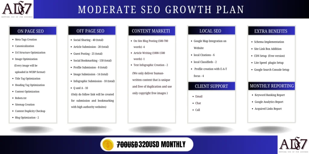 Amazingduniya7 Moderate SEO Plan